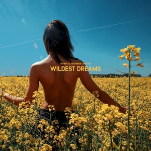 Wildest Dreams (Single)
