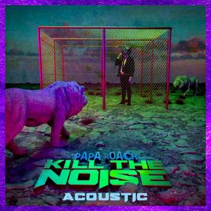 Kill the Noise (acoustic) (Single)