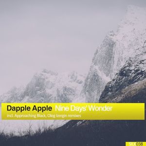 Nine Days' Wonder (Approaching Black remix)