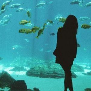 Surface Level (Single)