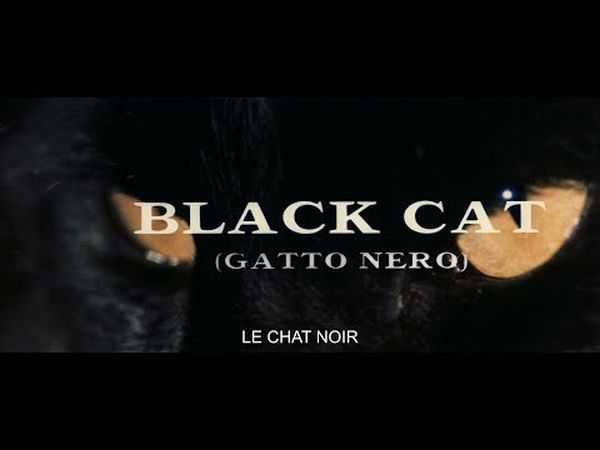 Le Chat noir