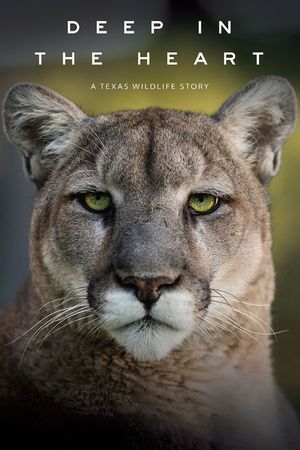 Deep in the Heart : A Texas Wildlife Story