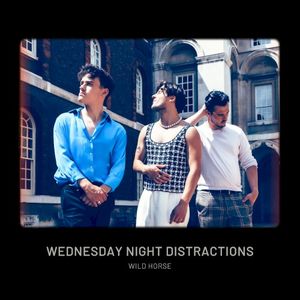 Wednesaday Night Distractions (OST)