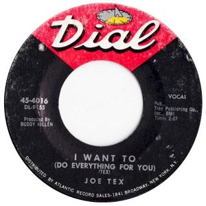 I Want to (Do Everything for You) / Funny Bone (Single)