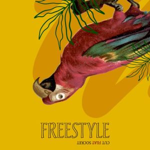 Freestyle (Single)