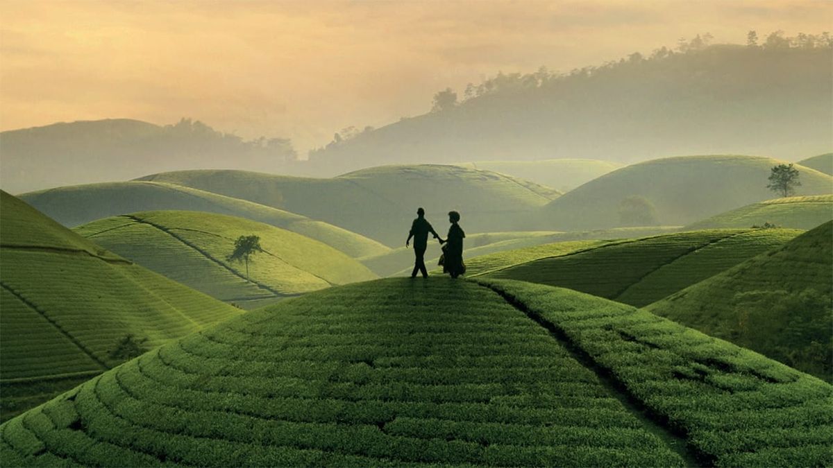 Black Tea - Film (2024) - SensCritique