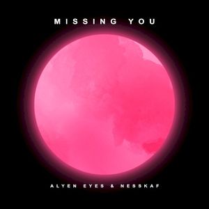 Missing You (Single)