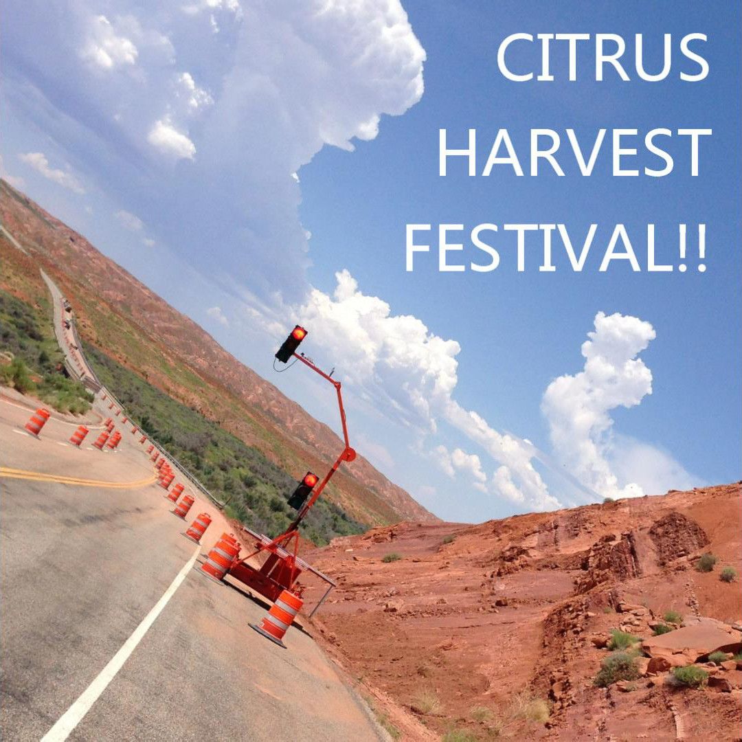 Orangestar 柑橘類収穫記念祭CD 柑橘類収穫記念祭 Orangestar - SensCritique