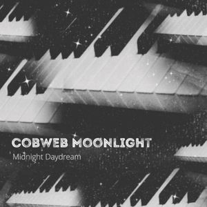 Midnight Daydream