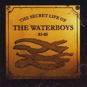 The Secret Life of the Waterboys: 81‐85