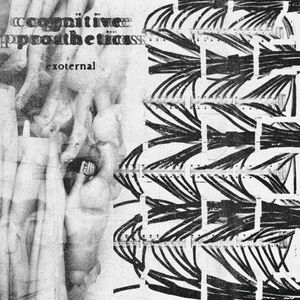 Cognitive Prosthetics (Single)