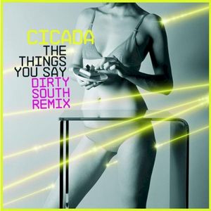 The Things You Say (dirty south remix) (EP)