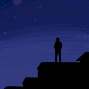 watching the stars fall down (Single)