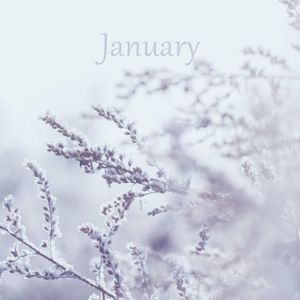 January (Single)