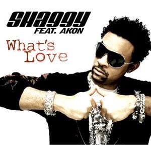 What's Love (Album Version)