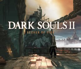 image-https://media.senscritique.com/media/000021833017/0/dark_souls_ii_seeker_of_fire.jpg