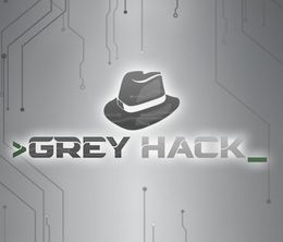 image-https://media.senscritique.com/media/000021834487/0/grey_hack.jpg