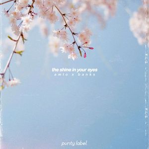 the shine in your eyes (Single)