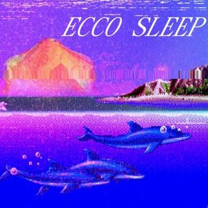 ECCO SLEEP (Single)