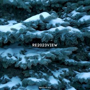 Re2023view