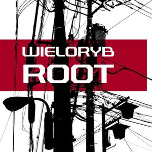 Root