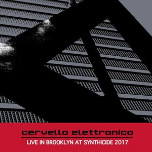 Live in Brooklyn at Synthicide 2017