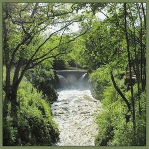 Nature Walks (Single)