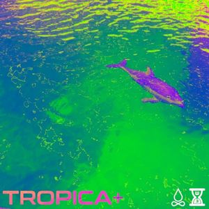 TROPICA+