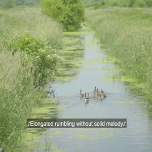 You Don't Know What This Feels Like (OST)