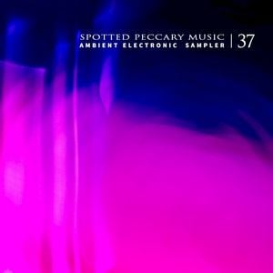 37 - Free Ambient Electronic Sampler