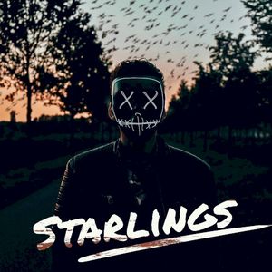 Starlings (Single)