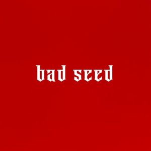 bad seed (Single)