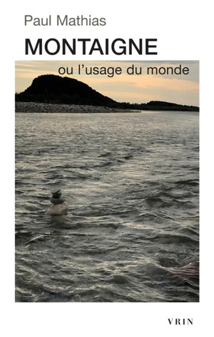 Montaigne ou l'usage du monde