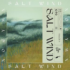Salt Wind (Single)