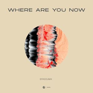 Where Are You Now (Single)