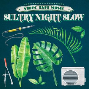 Sultry Night Slow (Single)