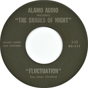 Fluctuation / Such a Long Time (Single)