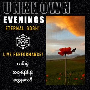 Unknown Evening (Live Performance) (Live)