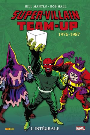 Super-Villains Team-Up (tome 2) : Intégrale 1976-1987