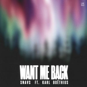 Want Me Back (Single)
