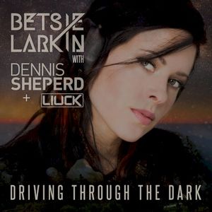 Driving Through the Dark (Single)