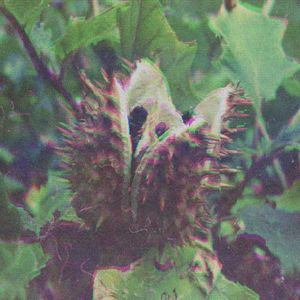 Dysorder Mix Series 001: Datura