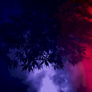 Melt (Single)