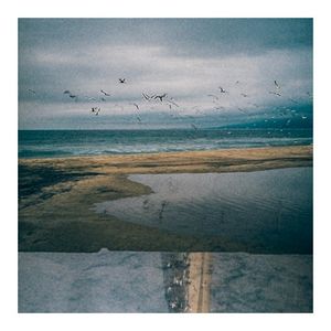 lupo (Single)