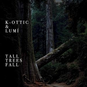 Tall Trees Fall (Single)