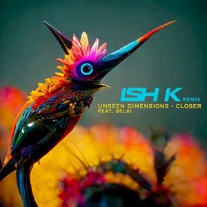 Closer (Ish K remix)