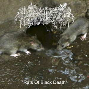 Rats of Black Death