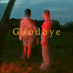 Goodbye (Single)