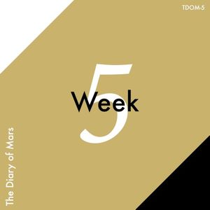 Week 5