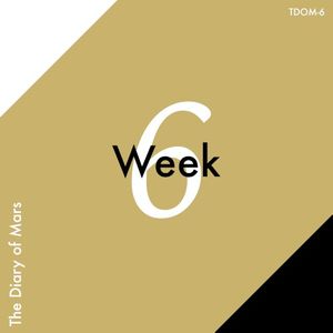 Week 6